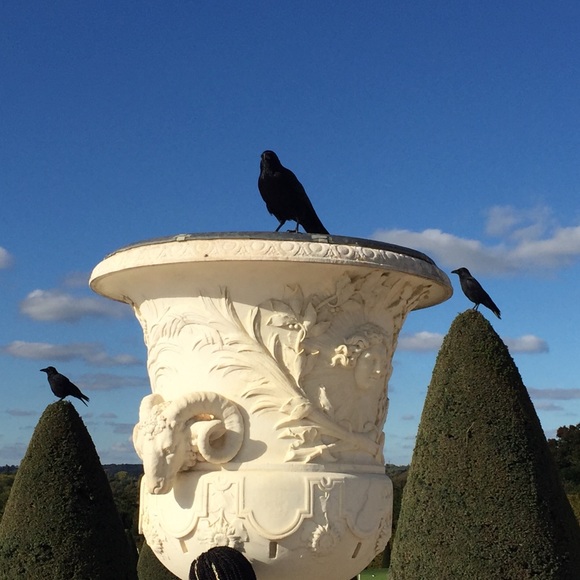 Meet your Posher, Susan - Picture 6 of 7